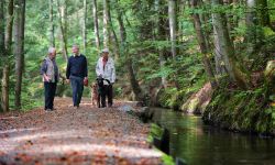 Drei Spaziergänger mit Hund gehen im Wald entlang des Stillen Bachs